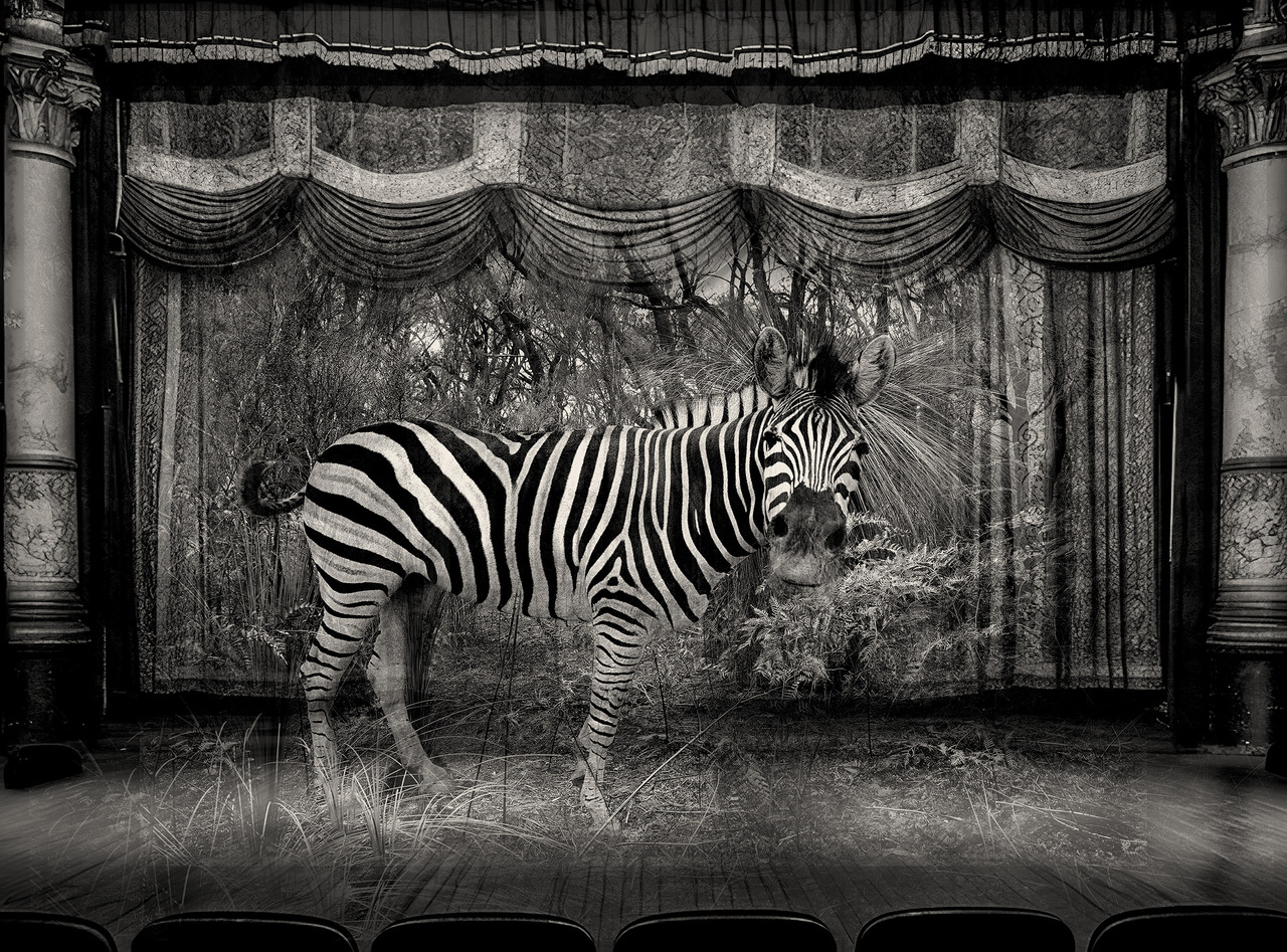 Long Exposure: The Legacy of Prahran College Education Tour
