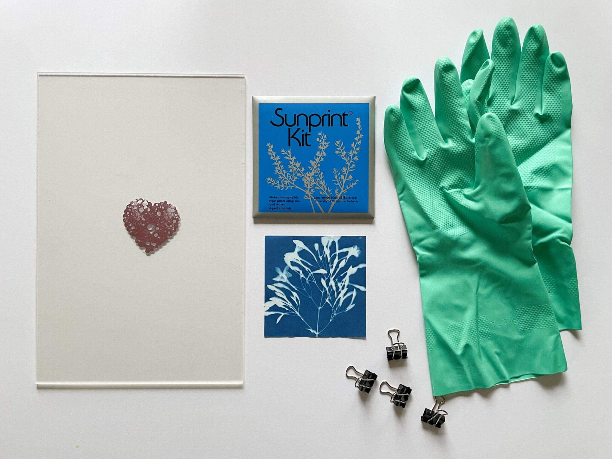 Cyanotypes for Kids with Kate Golding