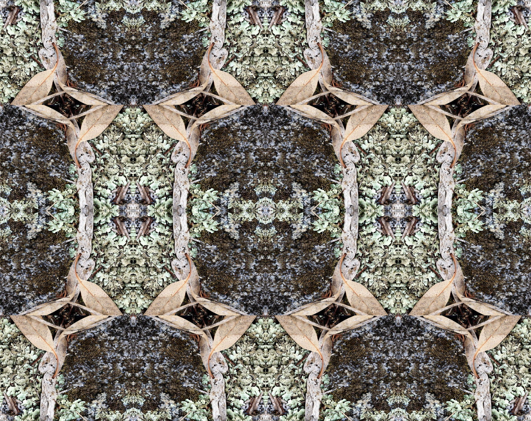 Algorithmic Landscapes