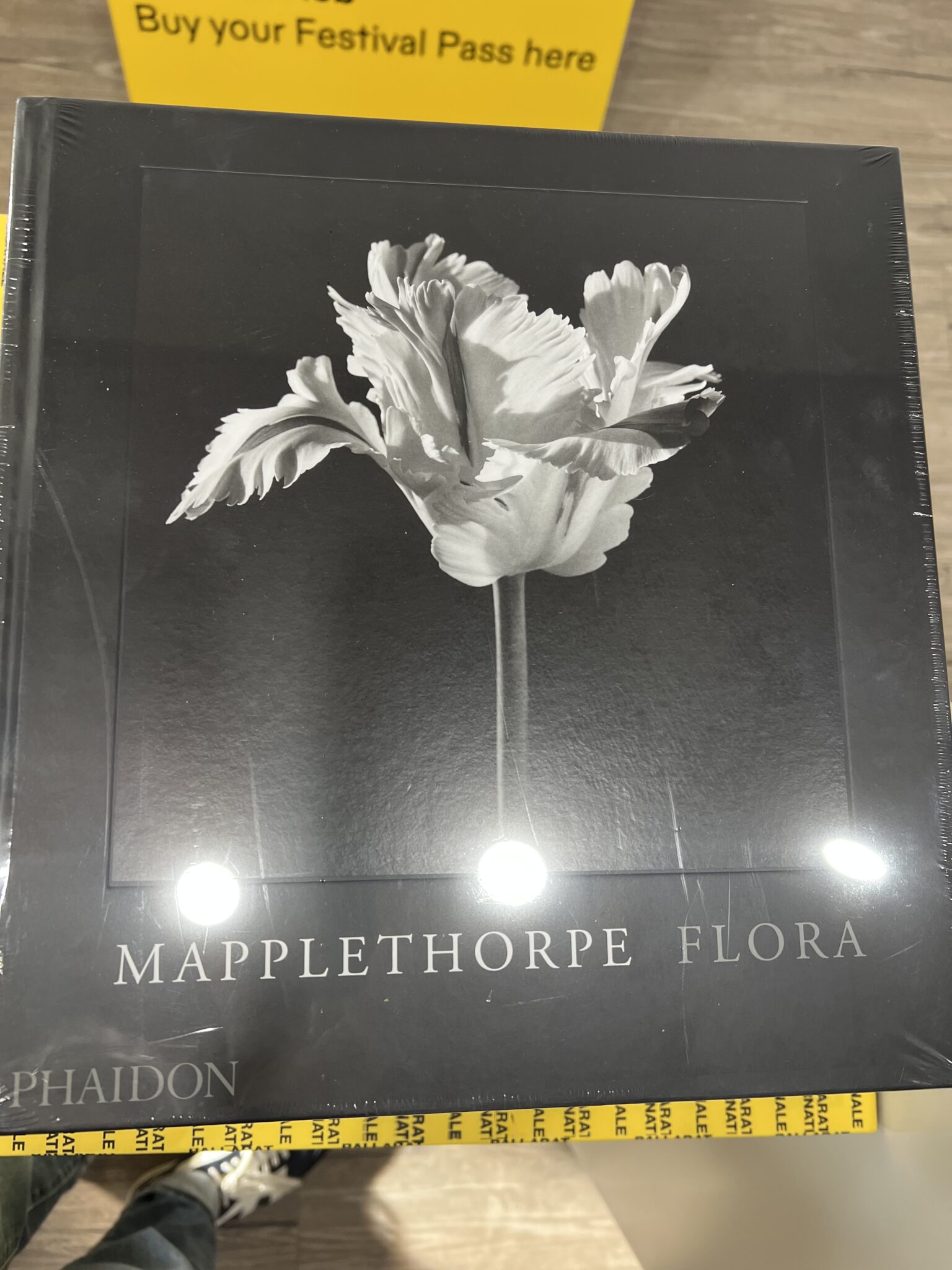Book - Robert Mapplethorpe - Flora | Ballarat International Foto